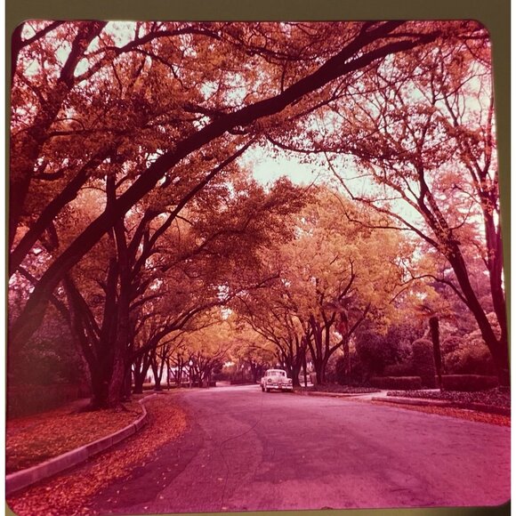 Vtg 1950's Neighborhood & Countryside 1956 Chevy Lot of 4 Ektachrome Slides 2.75 - Picture 4 of 8